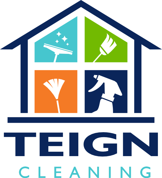 teign cleaning logo